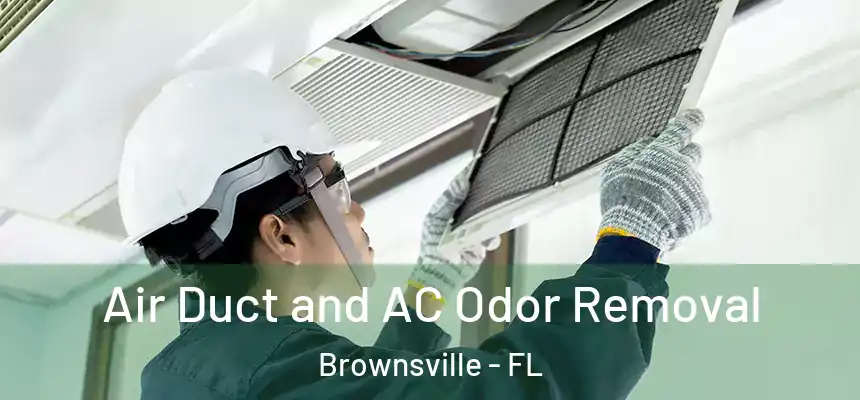  Air Duct and AC Odor Removal Brownsville - FL