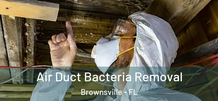  Air Duct Bacteria Removal Brownsville - FL