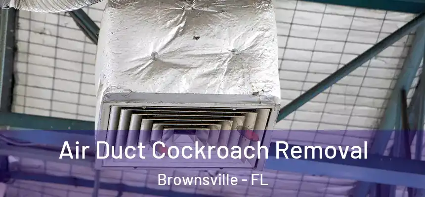  Air Duct Cockroach Removal Brownsville - FL