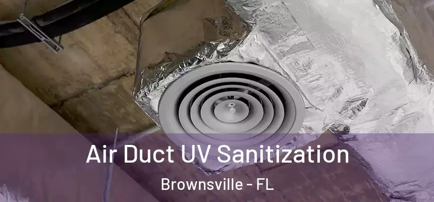  Air Duct UV Sanitization Brownsville - FL