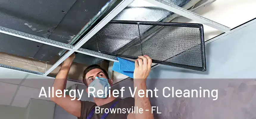 Allergy Relief Vent Cleaning Brownsville - FL