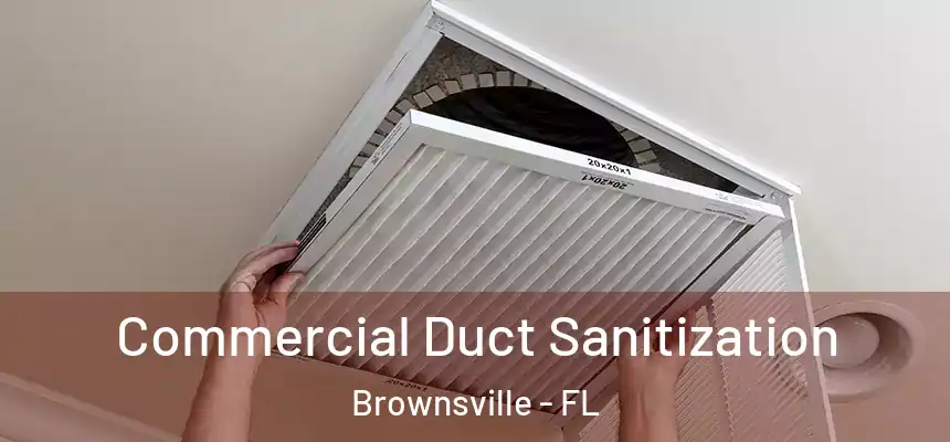 Commercial Duct Sanitization Brownsville - FL