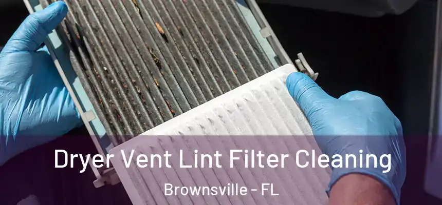  Dryer Vent Lint Filter Cleaning Brownsville - FL
