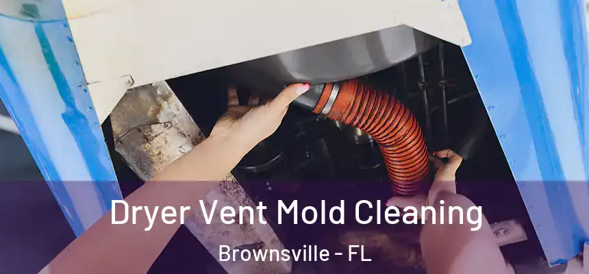  Dryer Vent Mold Cleaning Brownsville - FL