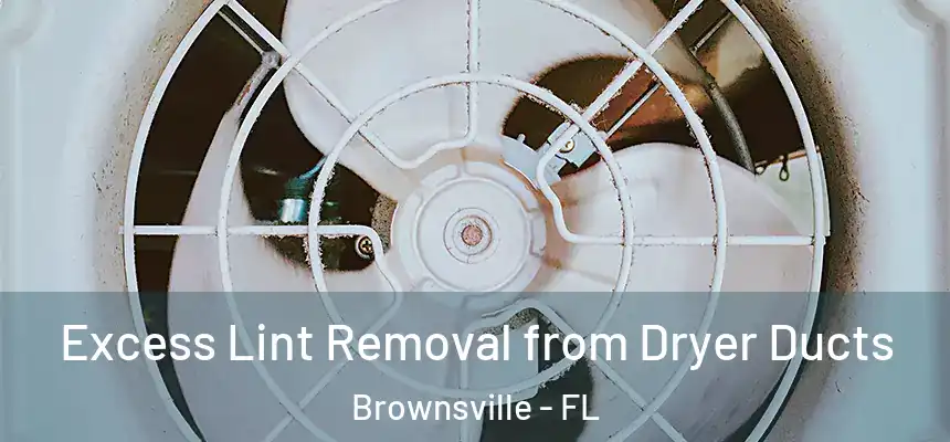  Excess Lint Removal from Dryer Ducts Brownsville - FL