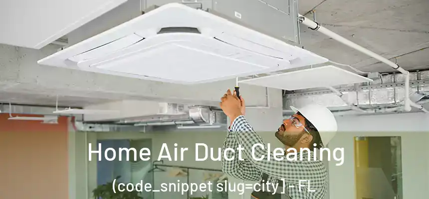  Home Air Duct Cleaning (code_snippet slug=city] - FL