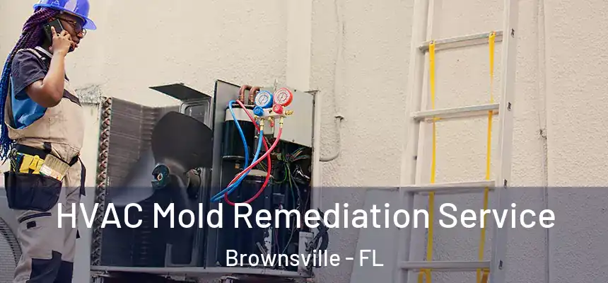  HVAC Mold Remediation Service Brownsville - FL