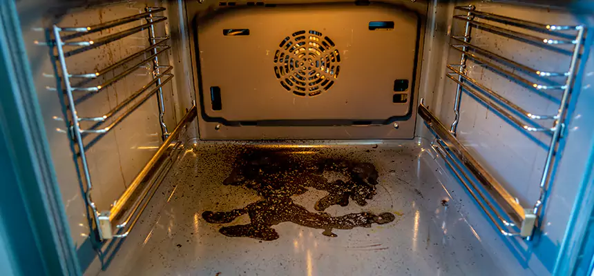 Our Dryer Vent Mold Cleaning Services in Brownsville, FL