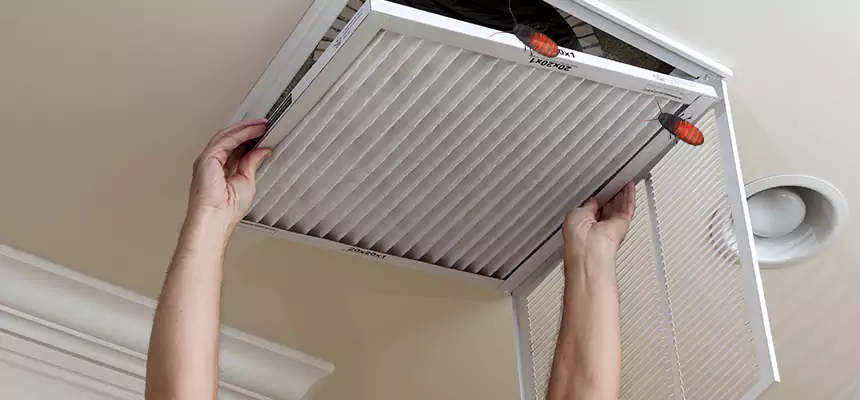 Our Insect Removal from Air Ducts Services in Brownsville, FL