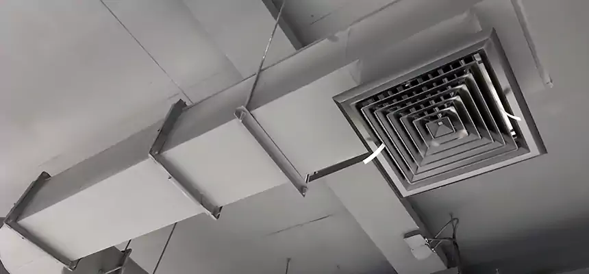 Our Pest Removal From Ducts Services in Brownsville, FL