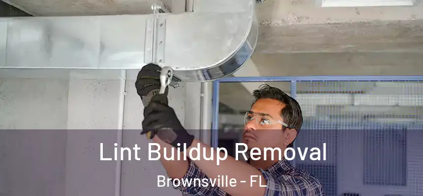  Lint Buildup Removal Brownsville - FL