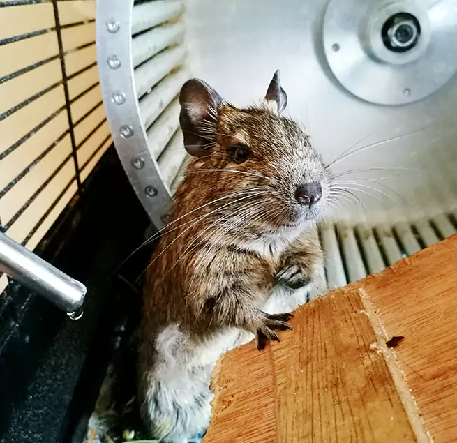 Why Homeowners & Businesses Trust Us Brownsville, FL