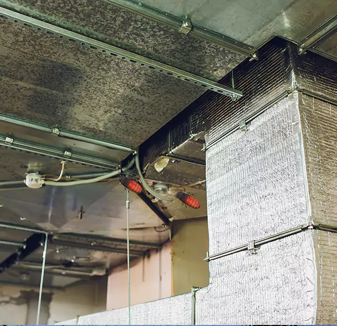 Why Homeowners & Businesses Trust Us Brownsville, FL?