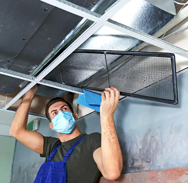  Why Homeowners Businesses Trust Us  in Brownsville, FL?